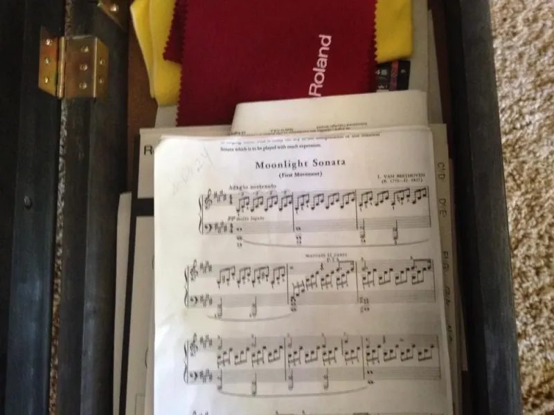 Music in the stool after being impressed to play Moonlight Sonata by Beethoven at Liberace's holiday home at Lake Arrowhead.