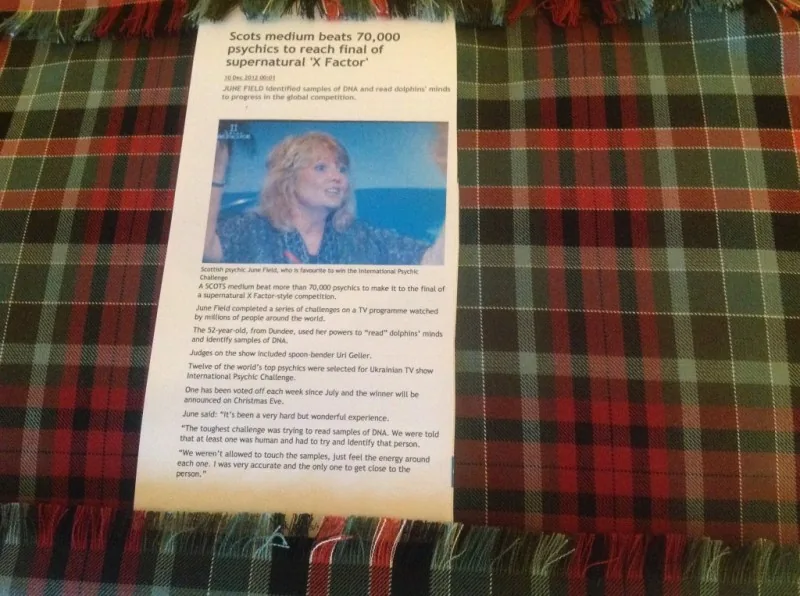Daily Record cutting about June reaching the final four, with a photo of her on television