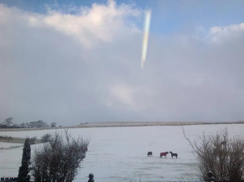 Snow-covered field with horses, and a streak of light in the sky